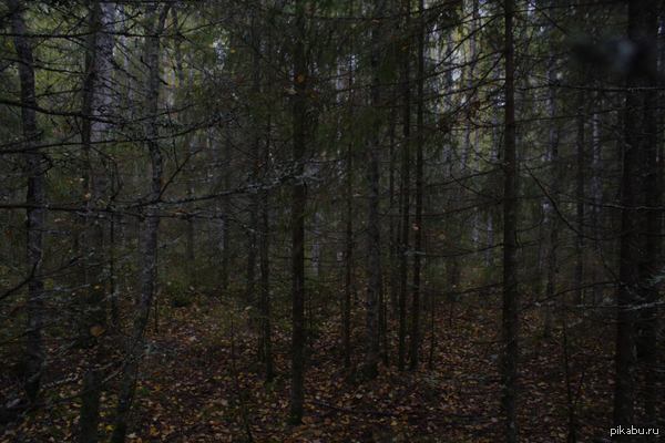 ���� � ����������� ����