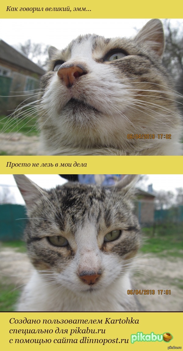 Кот нотация