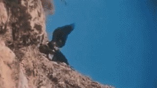    ! 