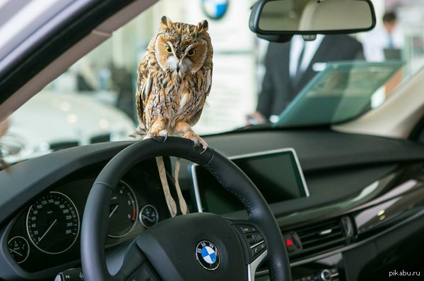    ?     .     BMW.