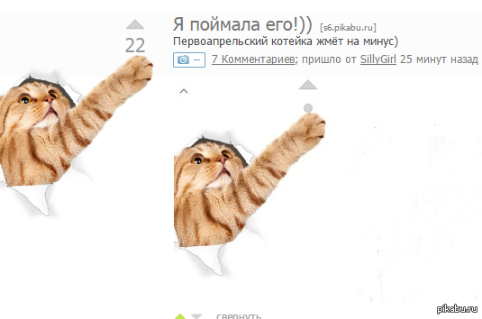 ����������)