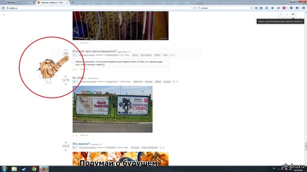 Кот уравнитель