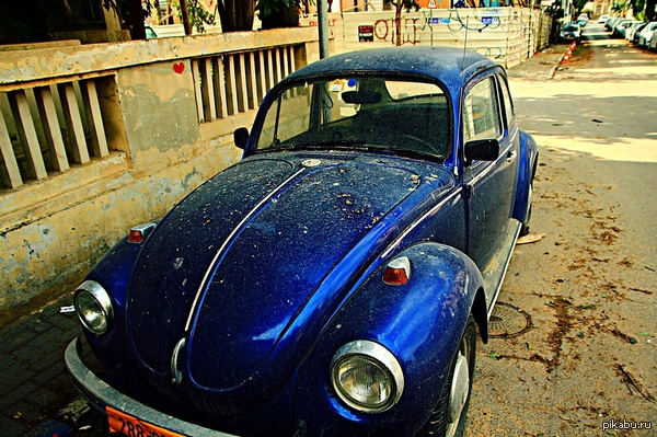 ����� ���� � ����� ����������