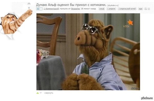 ������������ ������)