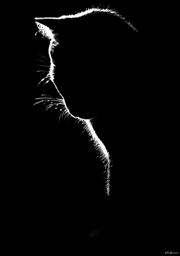 � ������ �������