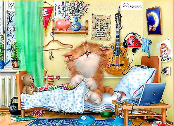 Кот ещё и ......