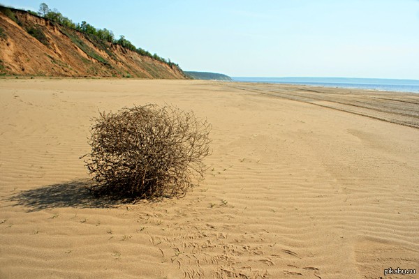 Ситуация в горячем, когда поставил тег "кот" в игнор.