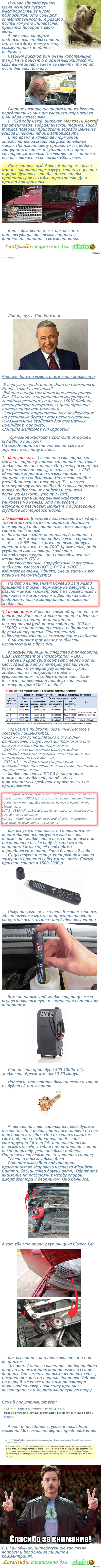 Тормозная жидкость: истории из жизни, советы, новости, юмор и картинки —  Лучшее | Пикабу