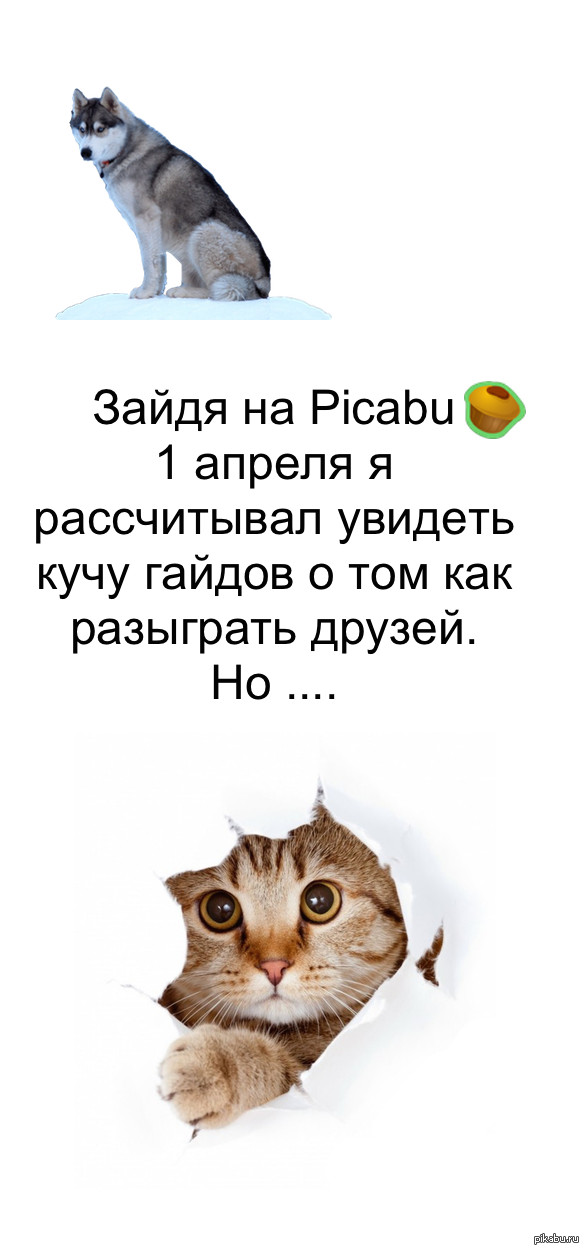 �� ���� �������� ������