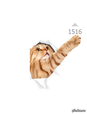 Люди сошли с ума