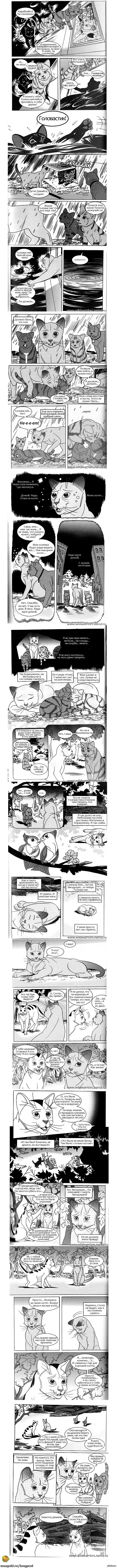 21-я часть Котов Воителей