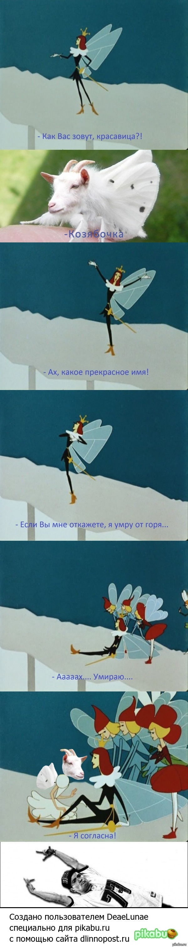 ��� ���-�� ���