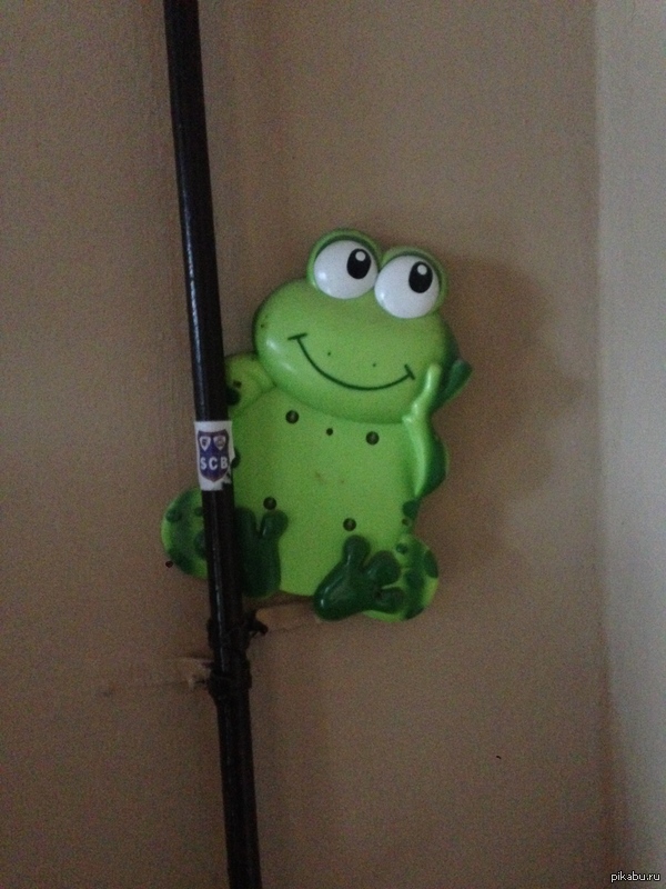 Жаба не всегда грустит!