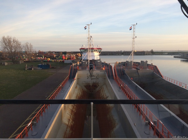 ����� ����