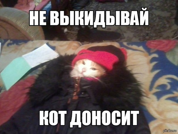 ���, �� �������..