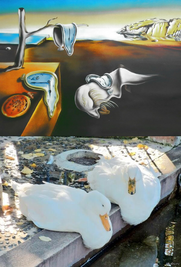 ��������� � �������� �����