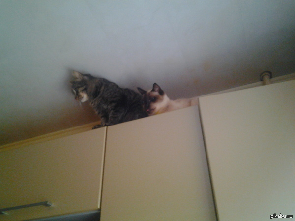 ���� ����� ����� ���� �����!