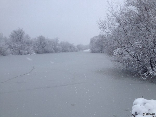 ��, �����