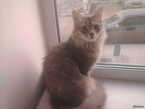 �� ��� ����� ������� ����� �������������?