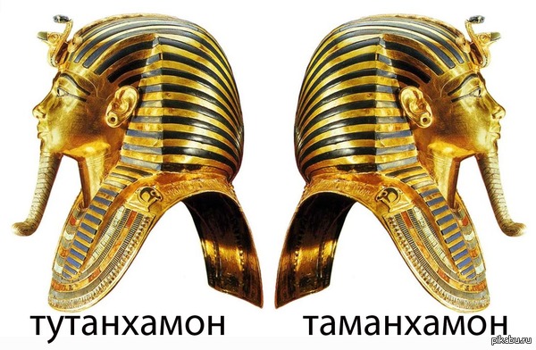 ���������� ����������