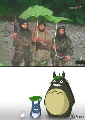 Сходство налицо!