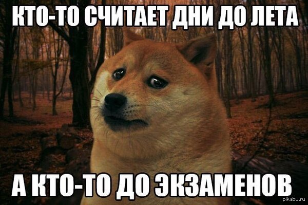 А кто-то до зарпллаты...