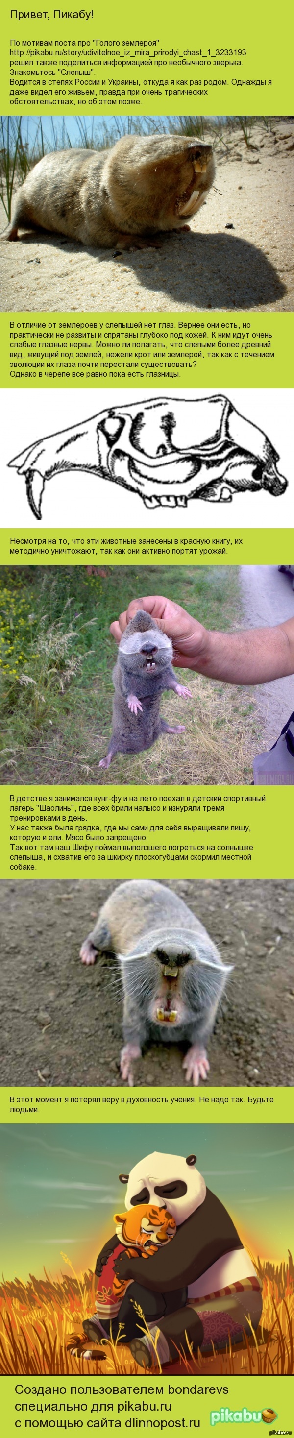 Кунг-фу Слепыш