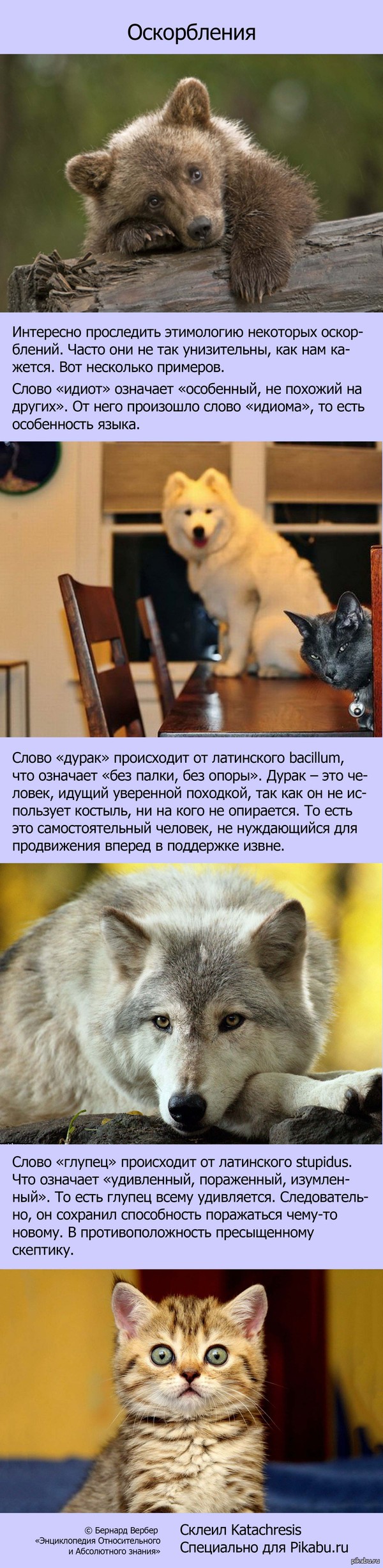 Оскорбления