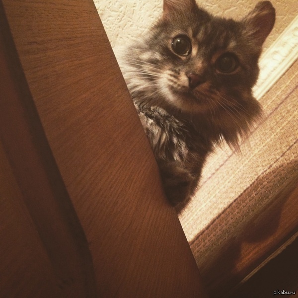 � ������ ����� ������� �����?