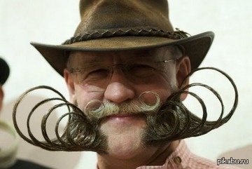 Дорогие бородачи и усачи, поздравляю!