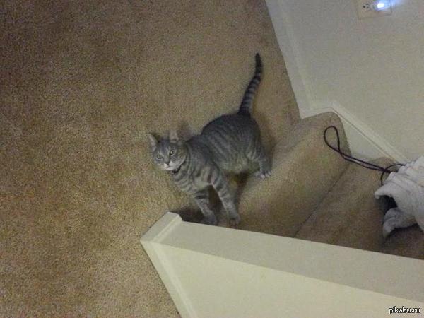 "��� ��� ������ ��� �� ����� � ������ ��������� )"