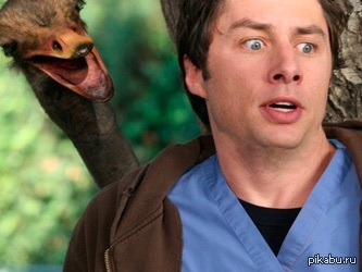 ������� ���� �������� �������� ������������� ����� � �������� ��� �����!