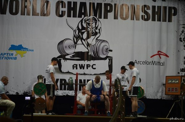 ������ (� ������������) �� ����� ������� ��������� � ������������ � ����������� ����, ��������, �������, ���������������, ��������.