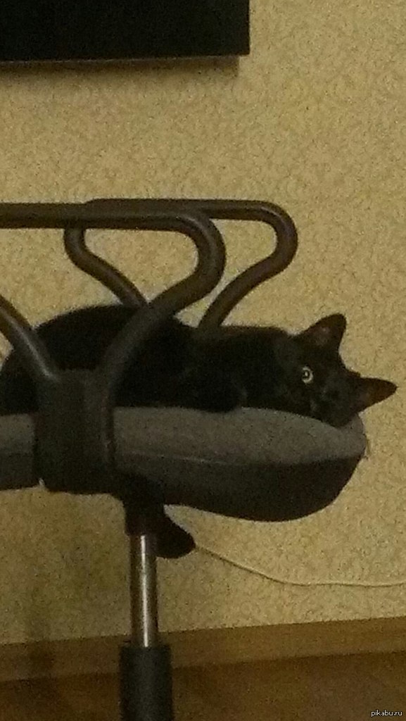 Проснулся, а она смотрит.....