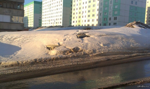 Весной можно найти много интересного под снегом.