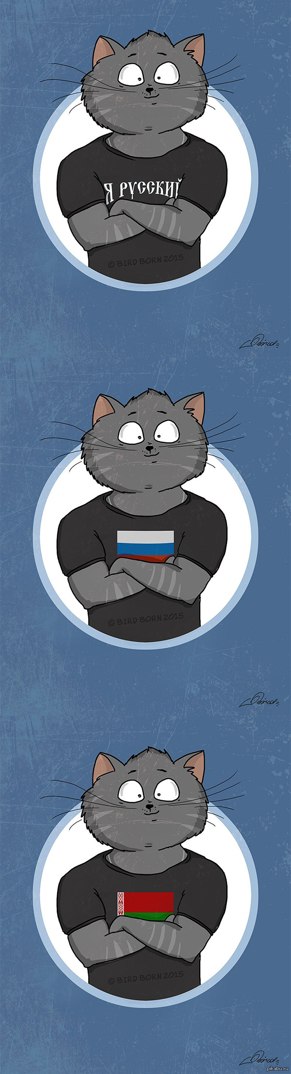 Кот - патриот!