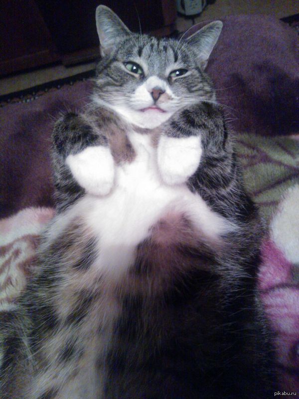 Её зовут Мася