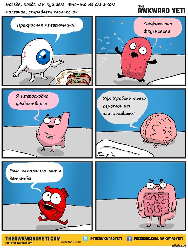  Awkward Yeti