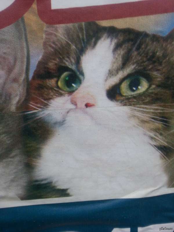 � ������ ������� ��� �����...