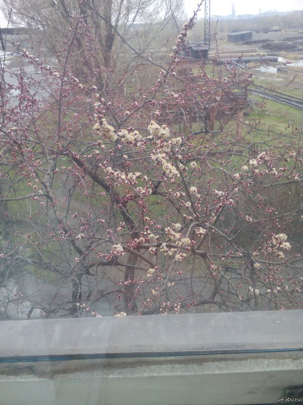 � � ��� ��� ��������� �������. � ������ ����!