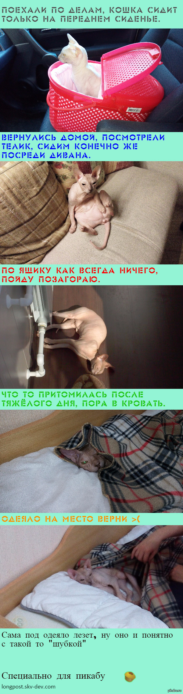 ���� ���� �� ����� ����� �����.