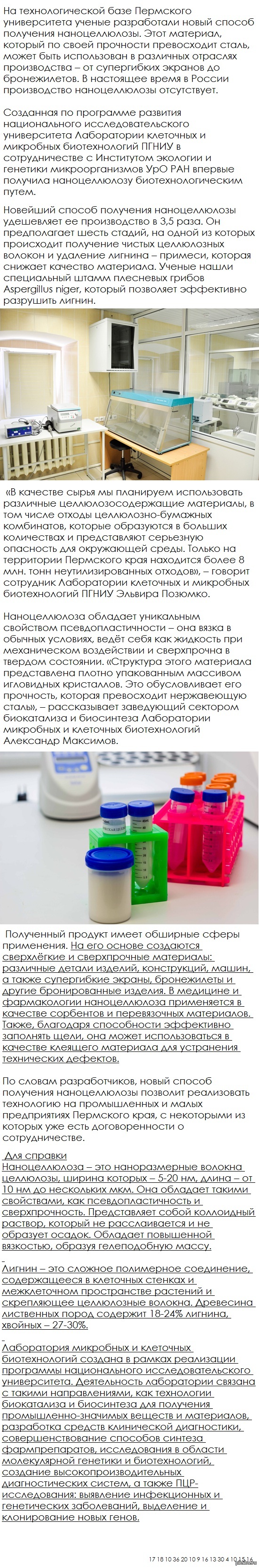 Пермские ученые изобрели целлюлозу прочнее стали