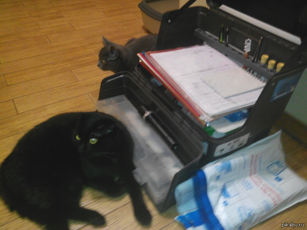 ������ ����� �������� ��������-������������