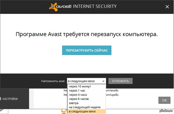 Avast understands its users - Avast, Antivirus, Update, Not now, Reincarnation