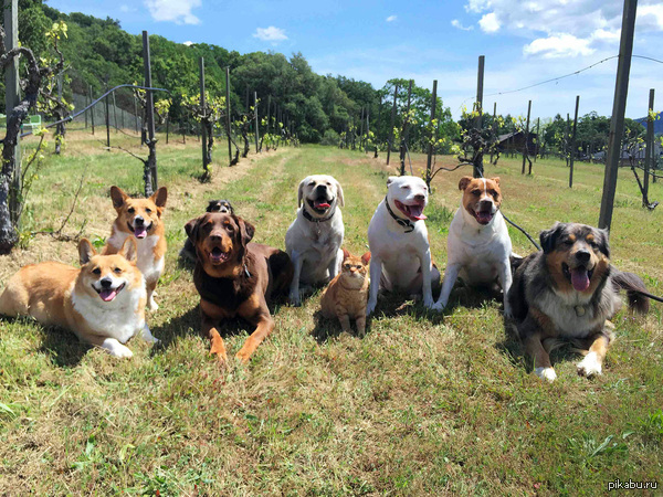 � ������� � ��� ������ �����!