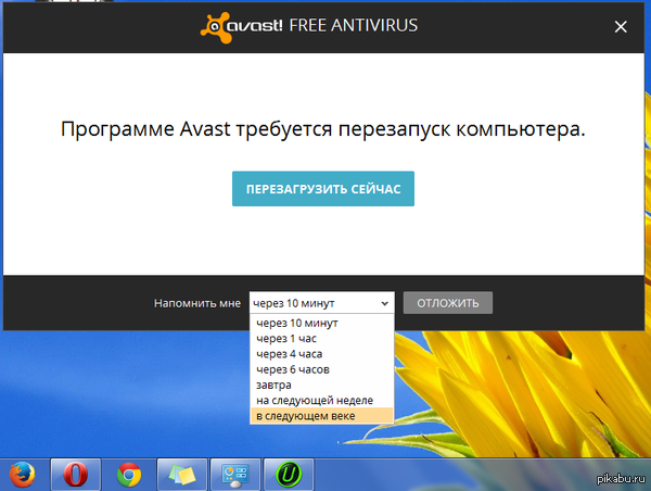 ���� ���������.