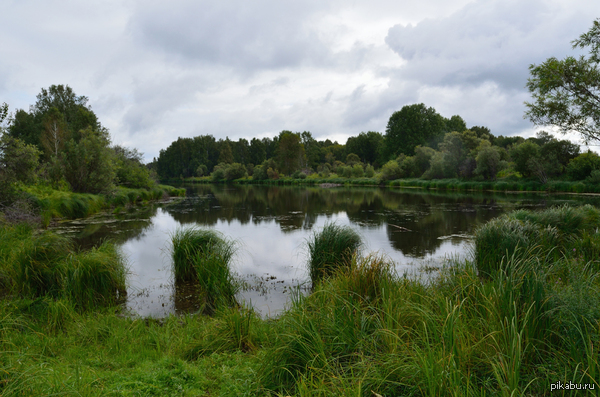 ��������� lifehack.