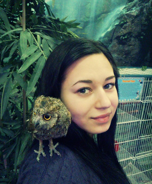 ������, ������� ��� ��� ������� �������, ���� ������)))