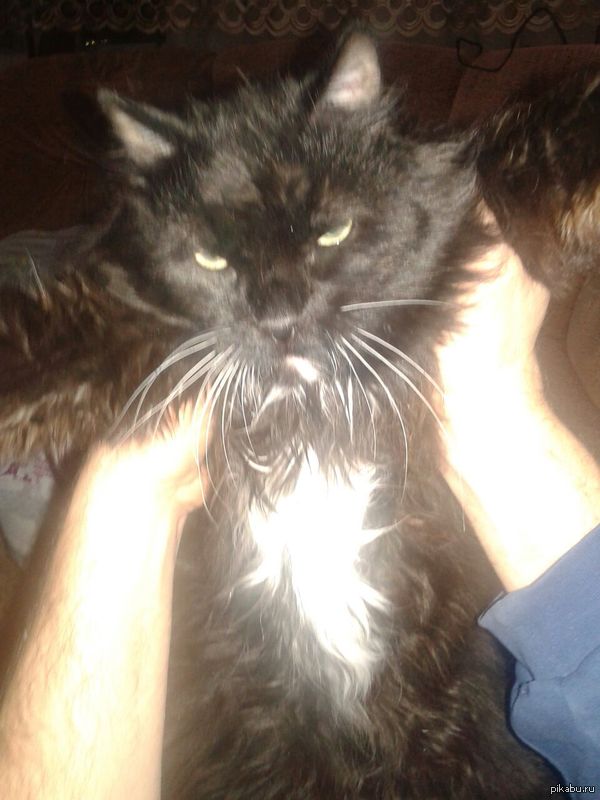 �� ��������, ��� ����� ����!