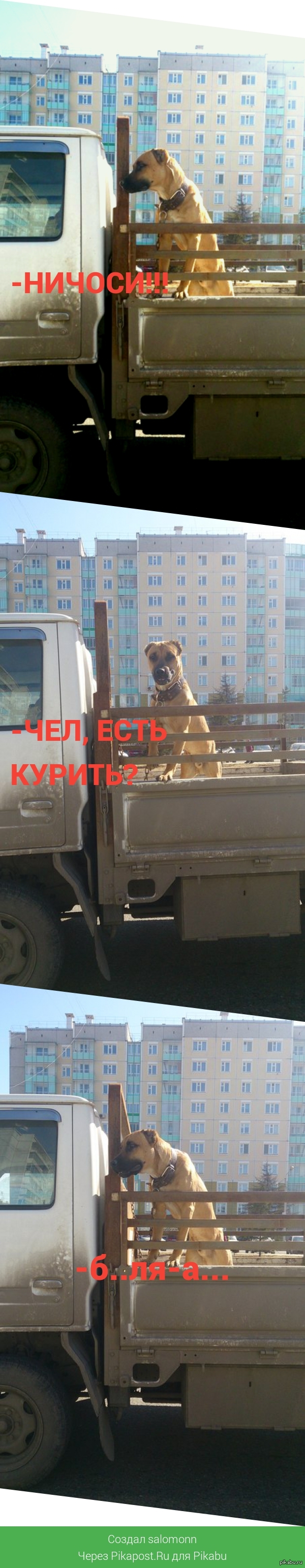   (     )   ,    -     (  ,  )